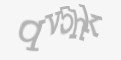 Защитный код